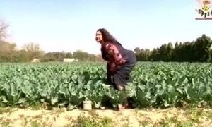 Desi Bhabhi has funny affair in fields