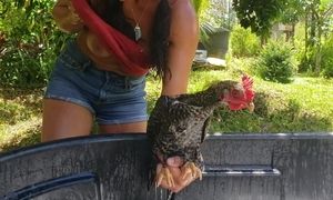 Washing a Chicken (or a dick?)