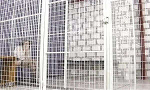 Police tormenting in prison